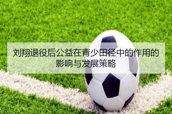 刘翔退役后公益在青少田径中的作用的影响与发展策略